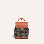 Goyard Alpin Mini Backpack Black & Tan - Image 2